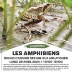 Conférence Saint Auban Les Amphibiens le 29 Avril 2024